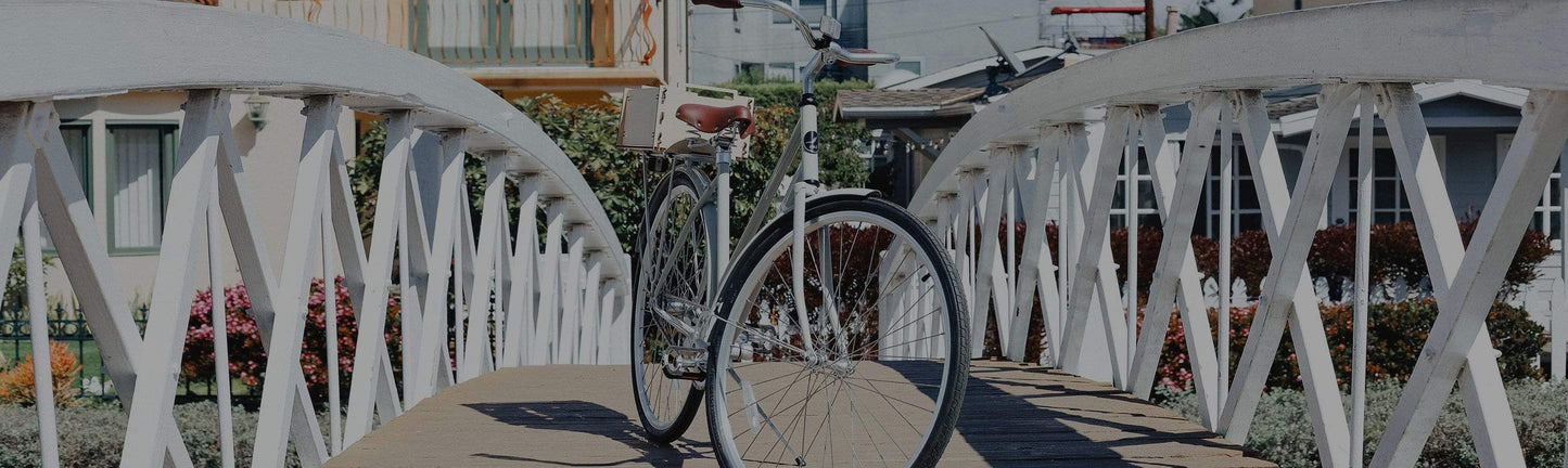 Cruising USA: Venice Beach, CA