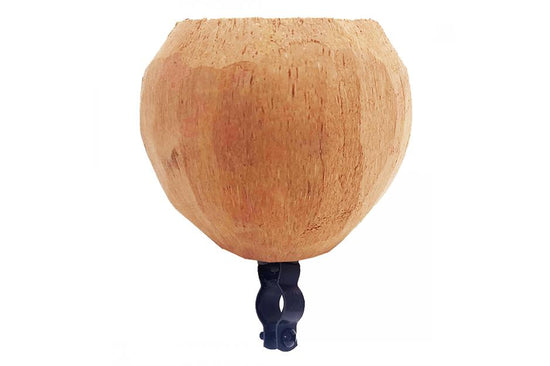 Coconut Cup Holder
