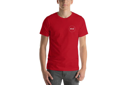 Load image into Gallery viewer, Work Hard, Play Hard - Mens Red T-Shirt
